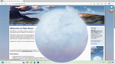 Pale Moon/New Moon for Windows XP .